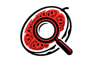 ob体育平台app - 吃瓜社Logo